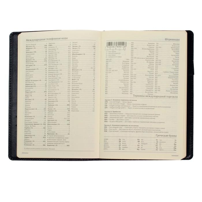 Ежедневник полудатированный А5, 208 листов Profy, рециклированная кожа, сменный блок, золотой срез, чёрный Ежедневник полудатированный А5, 208 листов Profy, рециклированная кожа, сменный блок, золотой срез, чёрный