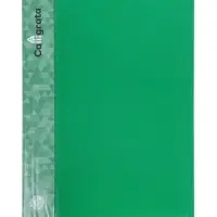 Папка с 60 вкладышами А4, 500 мкм, Calligrata, карман на корешке, зелёная