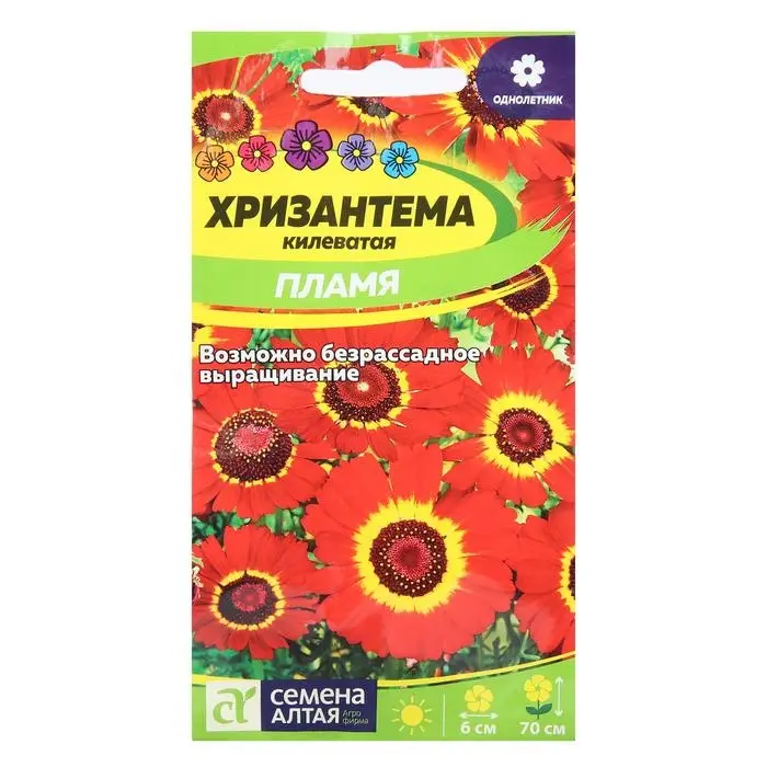 Семена цветов Хризантема  Семена цветов Хризантема "Пламя", килеватая, Сем. Алт, ц/п, 0,1 г