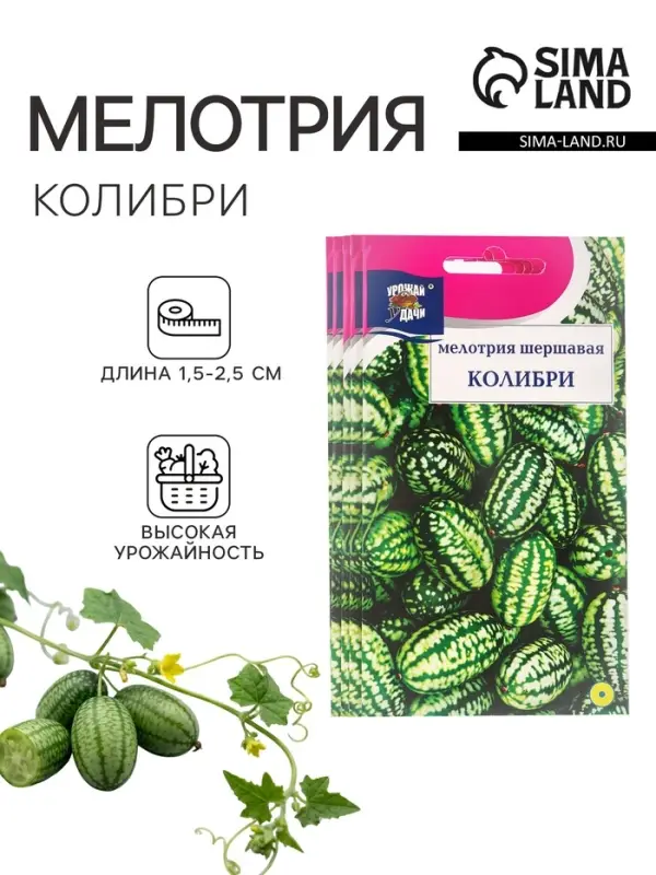 Набор семян Мелотрия шершавая &laquo;Колибри&raquo;, 5 шт.