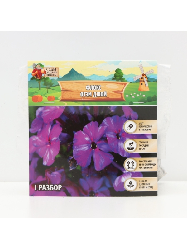 Флокс «Отэм Джой» корневище в пакете с торфогрунтом, р-р I, 2 шт.