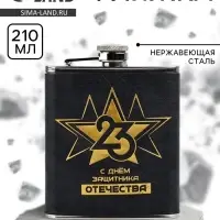 Фляжка &laquo;С Днем Защитника. 23 февраля&raquo;, 210 мл
