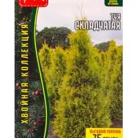Семена Туя &laquo;Складчатая&raquo;, 0.1 г, &laquo;Григорьев&raquo;