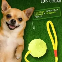 Игрушка для собак, мяч на веревке, 6 см, салатовая, жёлтая