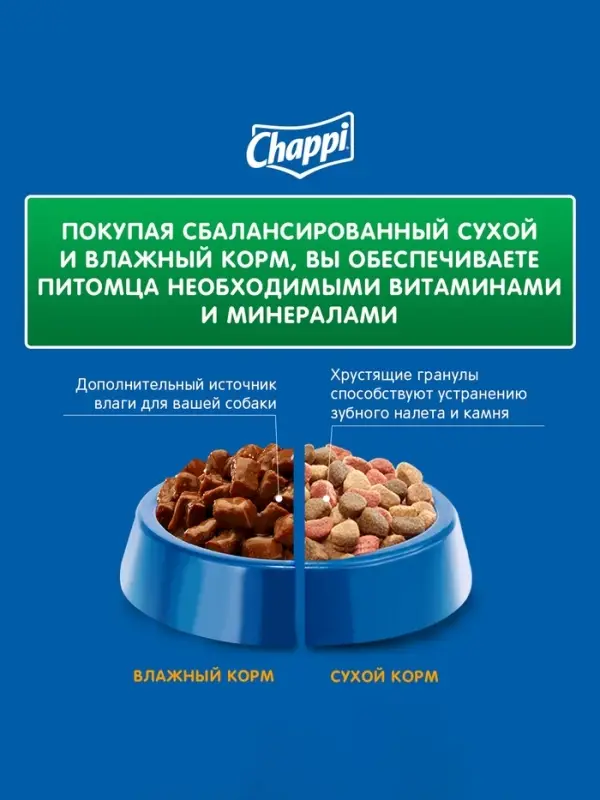 Влажный корм Chappi для собак, с говядиной по-домашнему, пауч, 85 г