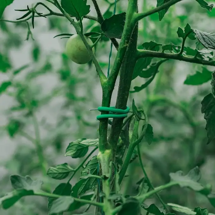 Проволока подвязочная, 10 м, d=3 мм, мягкая, Greengo