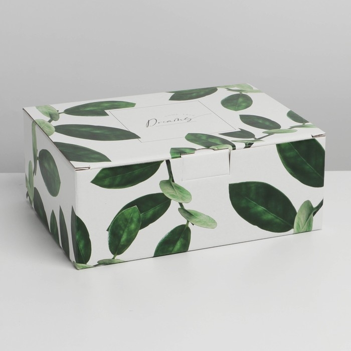 Коробка‒пенал, упаковка подарочная, «Dreams», 26 х 19 х 10 см Коробка‒пенал, упаковка подарочная, «Dreams», 26 х 19 х 10 см