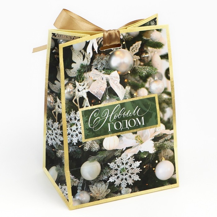 Пакет подарочный новогодний с лентой «Зима», 13 х 19 х 9 см Пакет подарочный новогодний с лентой «Зима», 13 х 19 х 9 см