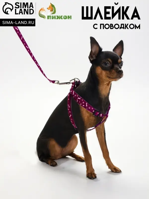 Шлейка с поводком &laquo;Классика&raquo;, ОГ 28-47 см, поводок 120&times;1 см, фиолетовая