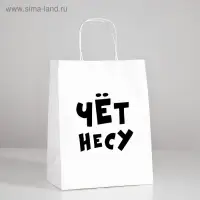 Пакет подарочный «Чёт несу», 24 х 10,5 х 32 см
