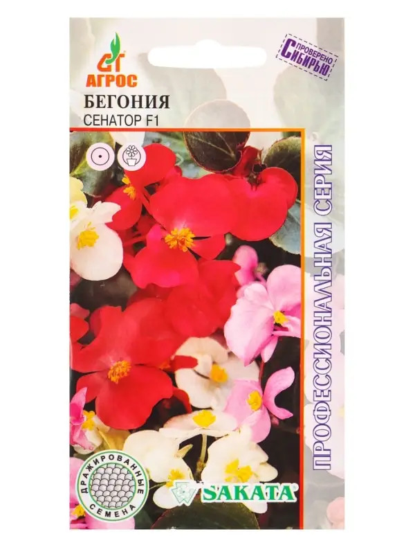 Семена Бегония Семена Бегония "Сенатор" F1 15 шт