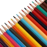 Карандаши 24 цветов, заточенные, шестигранные, с точилкой, дерево