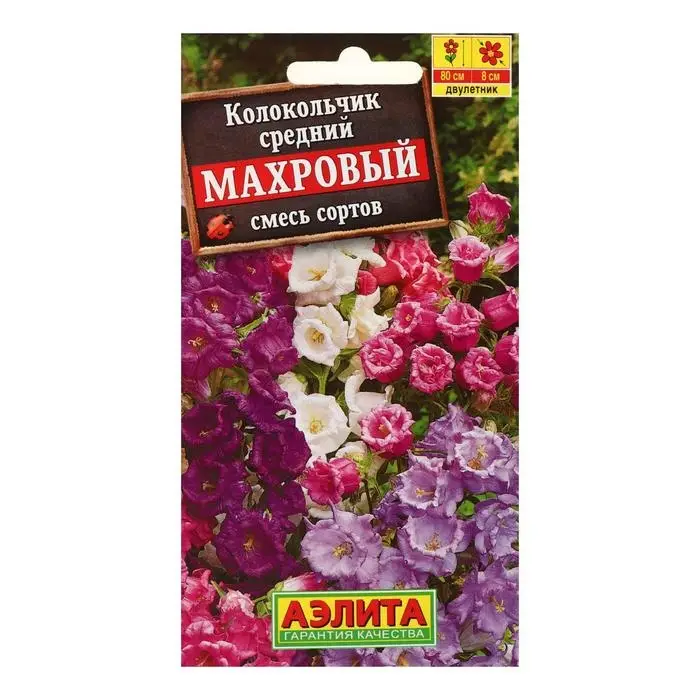 Семена цветов Колокольчик  Семена цветов Колокольчик "Смесь сортов", Дв, 0,2 г