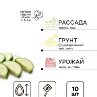 Семена Кабачок &laquo;Египетская Сила&raquo;, 10 шт., &laquo;Уральский Дачник&raquo;