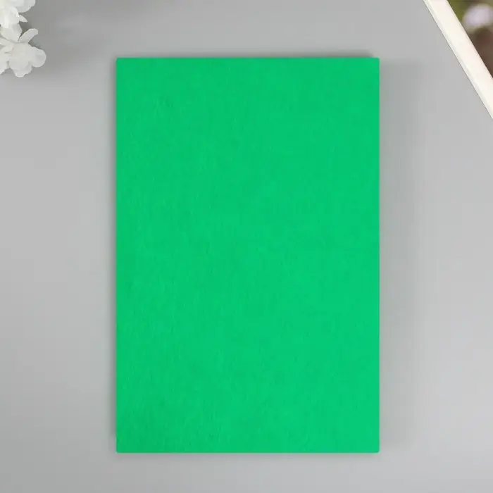 Фетр мягкий 1 мм 20х30 см зеленый Фетр мягкий 1 мм 20х30 см зеленый