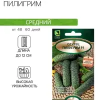 Семена Огурец Пилигрим, F1, 12шт