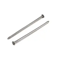 Гвозди ТУНДРА, строительные, ГОСТ 4028-63, без покрытия, 3.5&times;90 мм, 5 кг