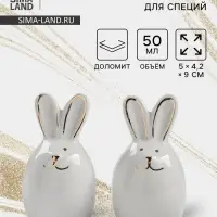Набор для специй Доляна &laquo;Зайка в золотом&raquo;, солонка, перечница 50 мл, доломит, белый
