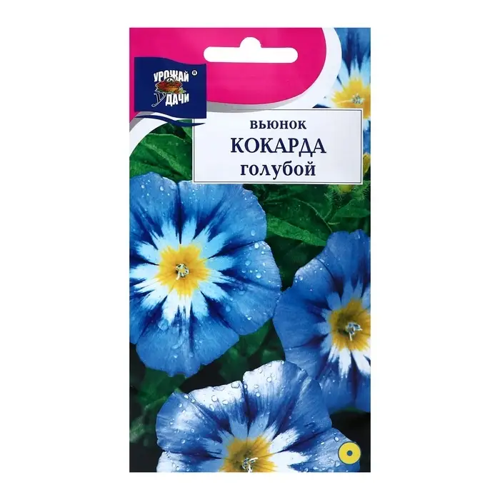 Семена цветов Вьюнок  Семена цветов Вьюнок "Кокарда", Голубой, 0,5 г