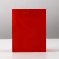 Пакет подарочный ламинированный, упаковка, &laquo;Красный&raquo;, S 12 х 15 х 5.5 см