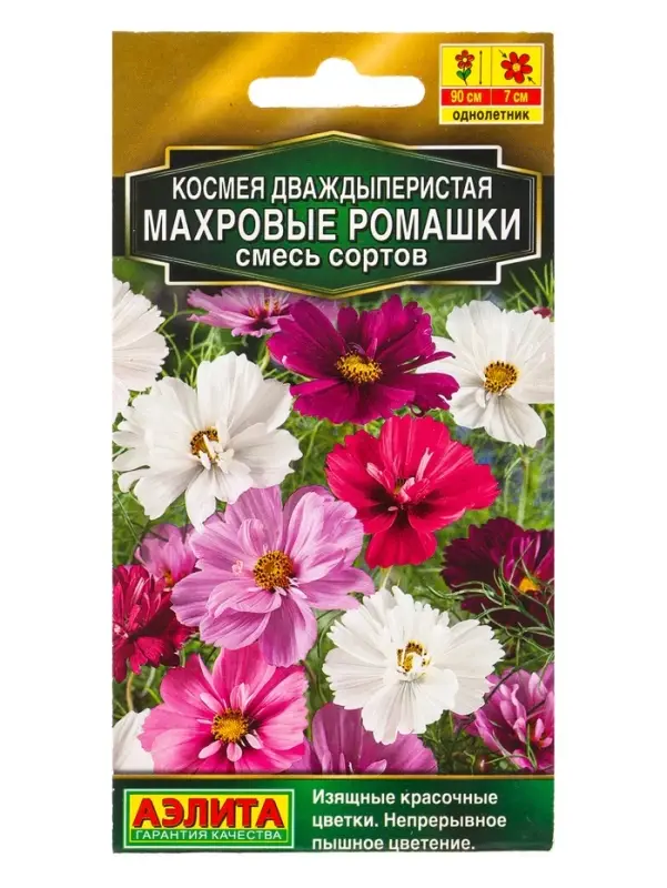 Семена цветов Космея Махровые ромашки, смесь сортов Золотая серия, Ц/П,0,1 г Семена цветов Космея Махровые ромашки, смесь сортов Золотая серия, Ц/П,0,1 г