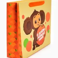 Пакет подарочный детский &laquo;С Днём рождения. Чебурашка&raquo;, М 25.5&times;30&times;9 см