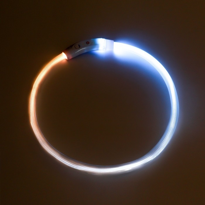 Ошейник - кольцо с подсветкой, зарядка от USB, до 70 см, 3 режима свечения, мультицвет