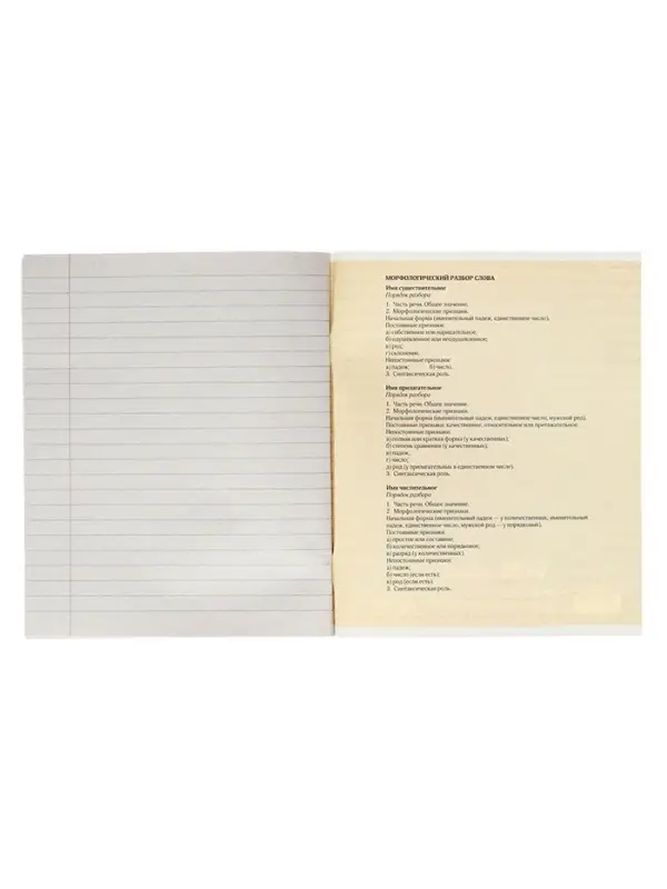 Тетрадь предметная 48 листов в линейку Calligrata «3D. Русский язык», серые листы Тетрадь предметная 48 листов в линейку Calligrata «3D. Русский язык», серые листы