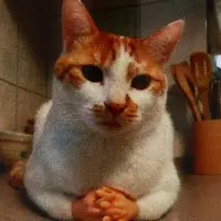 Кружка керамическая &laquo;Извинись!&raquo;, 320 мл