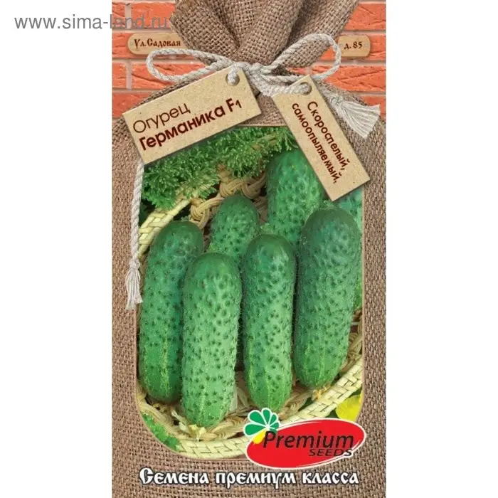 Семена Огурец Германика F1, скороспелый, партенокарпический, 10шт