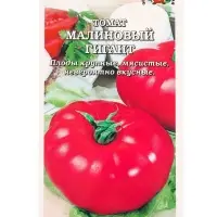 Семена Томат &laquo;Малиновый гигант&raquo;, 0.1 г, среднеспелый, индетерминантный, &laquo;Золотая Сотка Алтая&raquo;