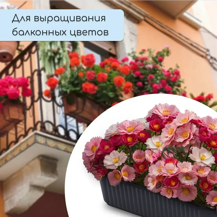 Ящик для цветов, 28.5&times;15.5&times;8.5 см, 2.5 л, пластик, чёрный, Greengo