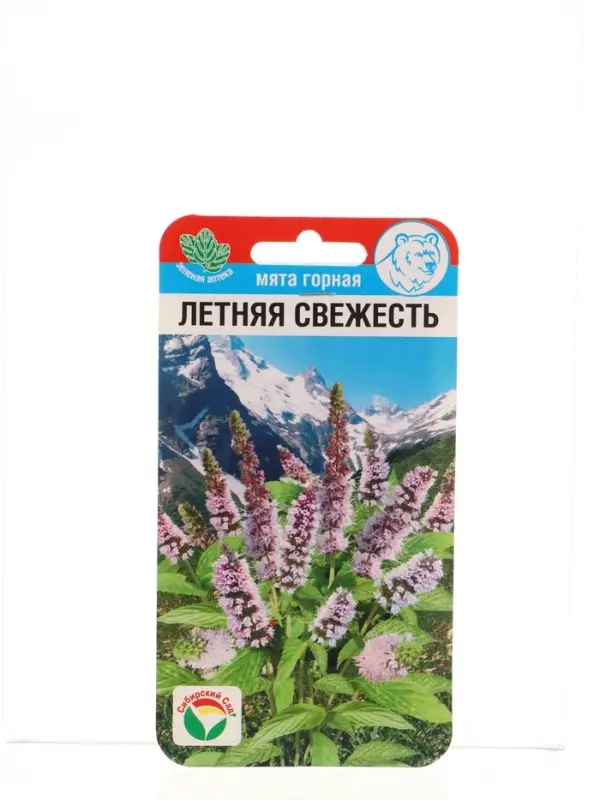Семена Мята Летняя свежесть 0,04г (Сиб Сад)