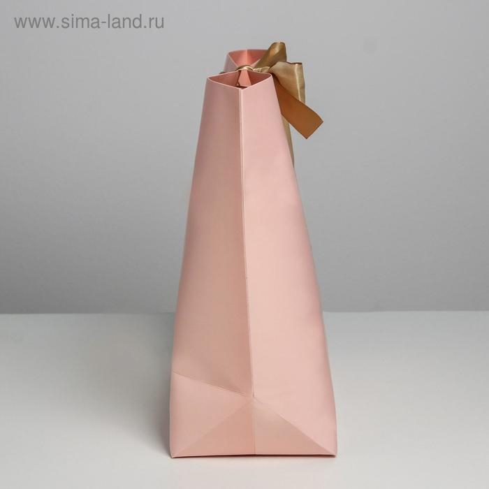 Пакет подарочный, упаковка, «Present for you», 30 х 27.5 х 12 см Пакет подарочный, упаковка, «Present for you», 30 х 27.5 х 12 см