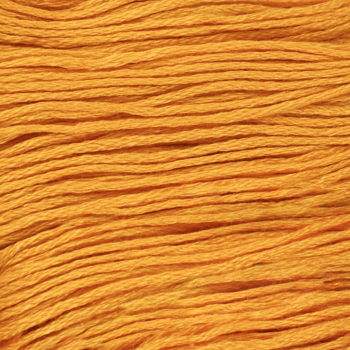 Набор ниток мулине №783, 8 ± 1 м, 6 шт, цвет топаз Набор ниток мулине №783, 8 ± 1 м, 6 шт, цвет топаз