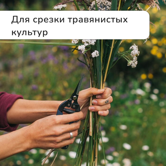 Ножницы садовые, 8 Ножницы садовые, 8" (20 см), с пластиковыми ручками, Greengo