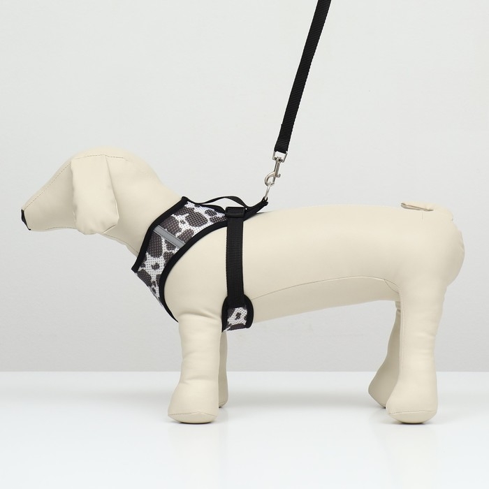 Комплект для собак 12-15 кг, размер XL, поводок 120 х 1,5 см ОШ 38 см, ОГ 57 см