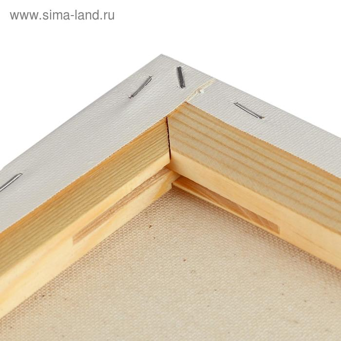 Холст на подрамнике, хлопок 100%, 40 х 50 х 1.8 см, акриловый грунт, мелкозернистый, 280 г/м2  Холст на подрамнике, хлопок 100%, 40 х 50 х 1.8 см, акриловый грунт, мелкозернистый, 280 г/м2 "Студия"