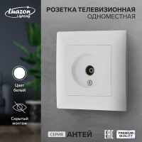 Розетка телевизионная одноместная Luazon Lighting "Антей", скрытая, белая