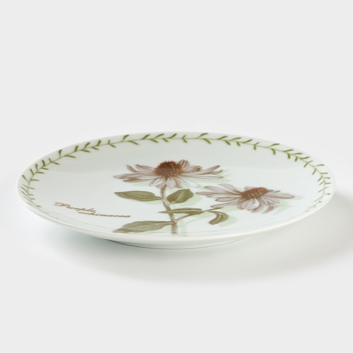 Тарелка фарфоровая «Ботаника», d=20 см Тарелка фарфоровая «Ботаника», d=20 см