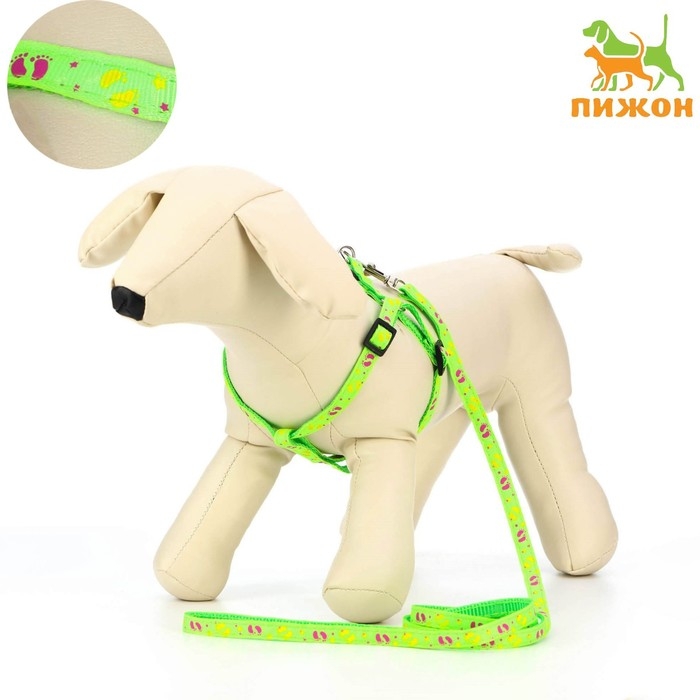 Комплект  Комплект "Цветные следы", поводок 120 х 1 см, ОГ 23-35 см, зелёный