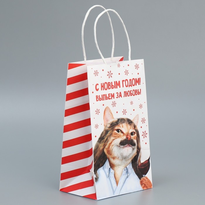 Пакет подарочный новогодний крафтовый «За любовь», 12 х 21 х 9 см, Новый год Пакет подарочный новогодний крафтовый «За любовь», 12 х 21 х 9 см, Новый год