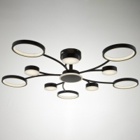 Люстра с ПДУ 2299/11BK LED 216Вт 3000-6000К черный 97х97х18 см BayerLux