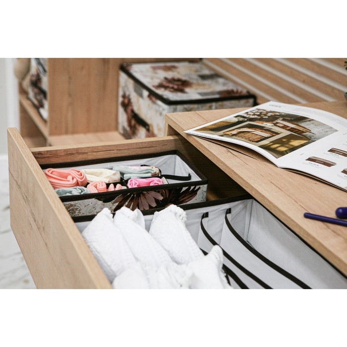 Органайзер для хранения белья Доляна «Астра», 8 ячеек, 28×14×10 см, цвет коричневый Органайзер для хранения белья Доляна «Астра», 8 ячеек, 28×14×10 см, цвет коричневый