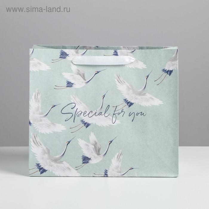 Пакет подарочный крафтовый горизонтальный, упаковка, Special for you, 27 х 23 х 11,5 см Пакет подарочный крафтовый горизонтальный, упаковка, Special for you, 27 х 23 х 11,5 см