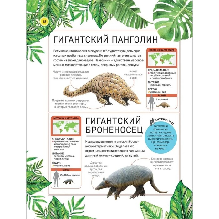 Энциклопедия «Удивительные животные» Энциклопедия «Удивительные животные»