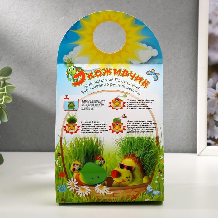 Растущий подарок травка Экоживчик "Черепашка"