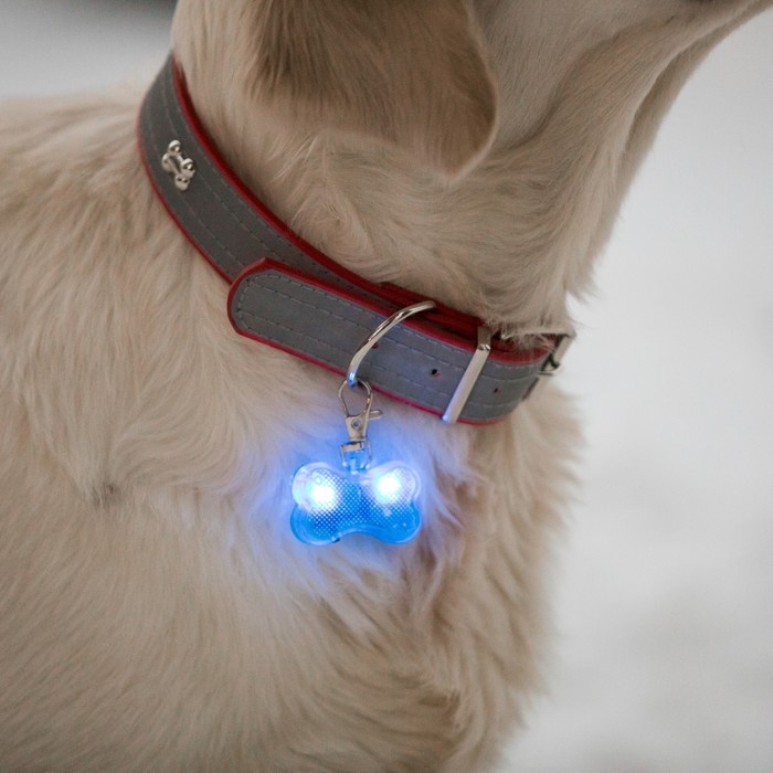 Маячок-адресник Косточка с наклейкой под записку 3 режима свечения голубой Маячок-адресник Косточка с наклейкой под записку 3 режима свечения голубой