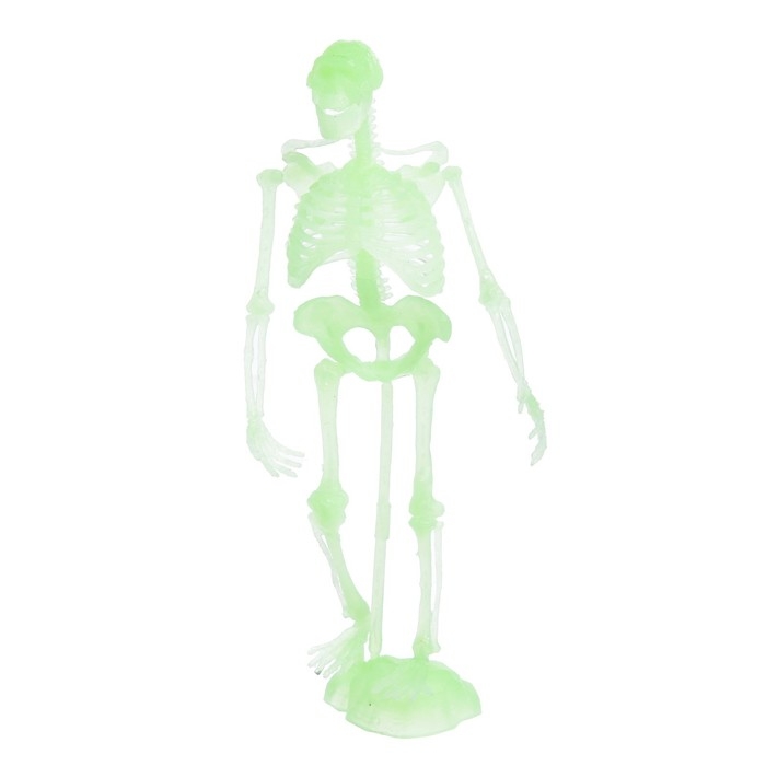 Набор для опытов «Тело человека», светится в темноте Набор для опытов «Тело человека», светится в темноте