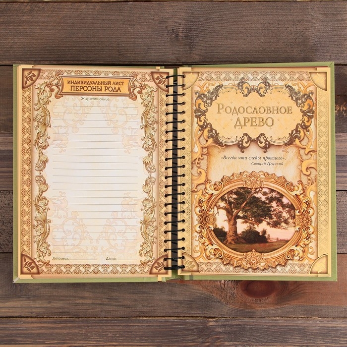 Родословная книга «Семейная летопись», 30 листов, 24,5 х 29,2 см